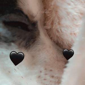 Meet your Posher, Ky